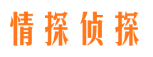 山东市侦探公司